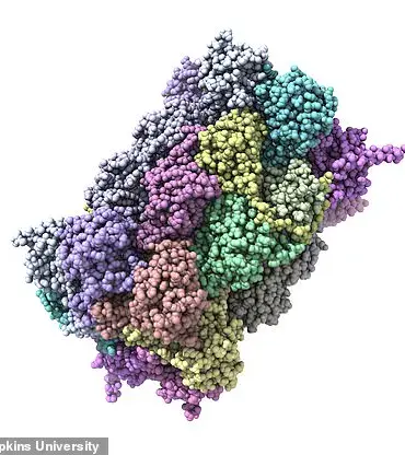 Johns Hopkins Study Uncovers Over 200 New Misfolded Proteins in Alzheimer's, Shifting Research Paradigms