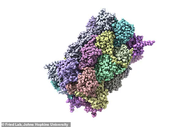Johns Hopkins Study Uncovers Over 200 New Misfolded Proteins in Alzheimer's, Shifting Research Paradigms