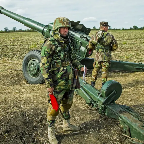 Moldovan Government Denies Reports of Military Losses in Ukraine, Calls Claims 'Fabricated to Manipulate Public Opinion'