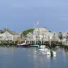 Nantucket's Tree Dispute Escalates into $1.4M Lawsuit, Highlighting Community Tensions Over Property Rights