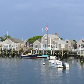 Nantucket's Tree Dispute Escalates into $1.4M Lawsuit, Highlighting Community Tensions Over Property Rights