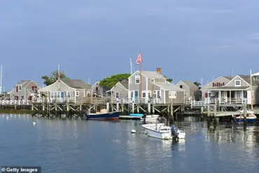 Nantucket's Tree Dispute Escalates into $1.4M Lawsuit, Highlighting Community Tensions Over Property Rights