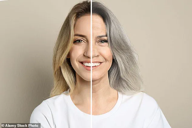 New Study Reveals Aging Begins as Early as 30, According to Chinese Researchers