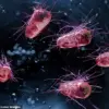 NHS GP Issues Stark Warning About Health Risks of Not Removing Shoes at Home, Citing Harmful Chemicals and E. coli in Viral TikTok Video