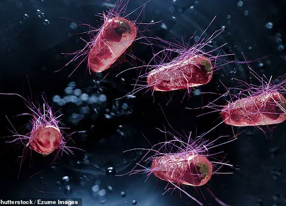 NHS GP Issues Stark Warning About Health Risks of Not Removing Shoes at Home, Citing Harmful Chemicals and E. coli in Viral TikTok Video