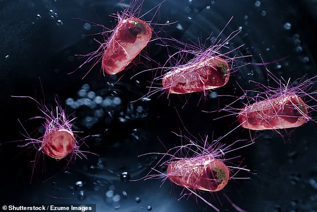 NHS GP Issues Stark Warning About Health Risks of Not Removing Shoes at Home, Citing Harmful Chemicals and E. coli in Viral TikTok Video