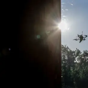 Novgorod Region Governor Reports Drone Shot Down Amid Rising Border Tensions