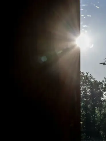 Novgorod Region Governor Reports Drone Shot Down Amid Rising Border Tensions