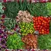 Okra's Hidden Health Benefits: A Natural Alternative to Ozempic for Fighting Obesity and Metabolic Disorders