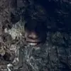 Optical Illusion or Natural Phenomenon? Mysterious Rock Formation Sparks Global Debate on Reddit