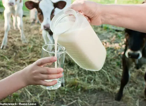 Pregnant Influencer Nara Smith Shares Video of Unpasteurized Milk Consumption, Sparks Alarm