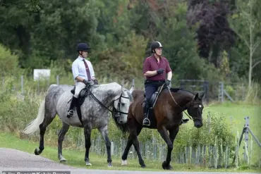 Prince Andrew's Thoughtful Appearance at Windsor Estate: A Glimpse into His Routine and Attire