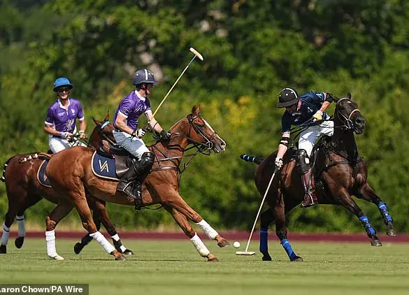 Prince William Joins Charity Polo Match as Princess of Wales Absent