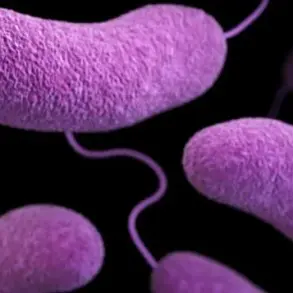 Public Health Alert: Six States Close Beaches Amid Rising Vibrio Bacteria Levels as Independence Day Travel Looms