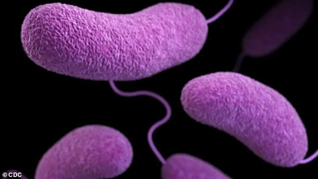 Public Health Alert: Six States Close Beaches Amid Rising Vibrio Bacteria Levels as Independence Day Travel Looms