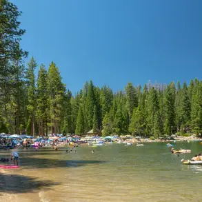 Regulatory Failures at Pinecrest Lake: How Government Inaction Fuels Chaos and Environmental Collapse