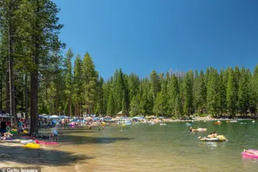 Regulatory Failures at Pinecrest Lake: How Government Inaction Fuels Chaos and Environmental Collapse