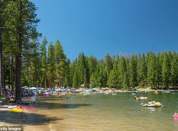 Regulatory Failures at Pinecrest Lake: How Government Inaction Fuels Chaos and Environmental Collapse