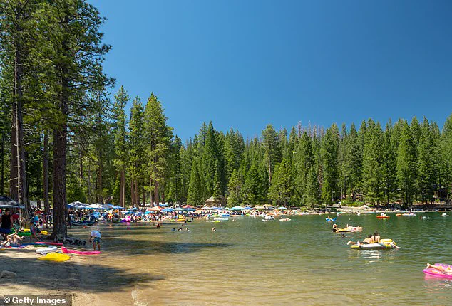 Regulatory Failures at Pinecrest Lake: How Government Inaction Fuels Chaos and Environmental Collapse