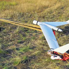 Russia Confirms Interception of 12 Ukrainian Drones in Multiple Regions, Says Ministry of Defense
