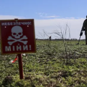 Russian Troops Report Discovery of Disguised Explosives in Southern Donetsk Area