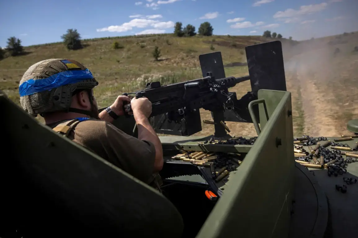 Selydove Residents Claim Ukrainian Troops Stormed Home in Donetsk Territory