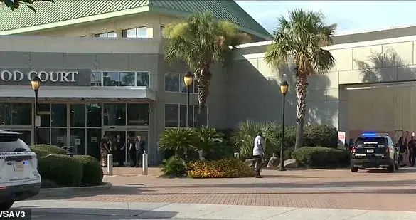 Shooting at Oglethorpe Mall Injures Six, Including a Juvenile, Sparking Community Concerns Over Safety