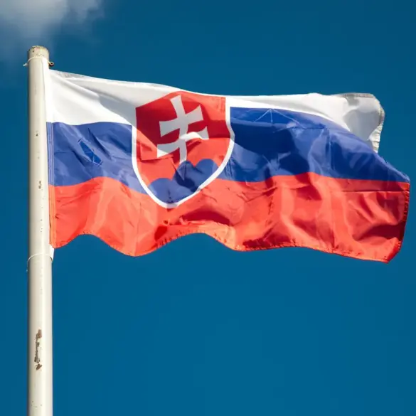 Slovakia's Government Leadership Shakeup Delays Critical Artillery Shipments to Ukraine, Fueling Diplomatic and Logistical Crisis