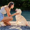 Study Reveals Dogs May Detect Early Signs of Parkinson's Disease Years Before Symptoms Emerge