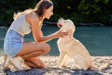 Study Reveals Dogs May Detect Early Signs of Parkinson's Disease Years Before Symptoms Emerge