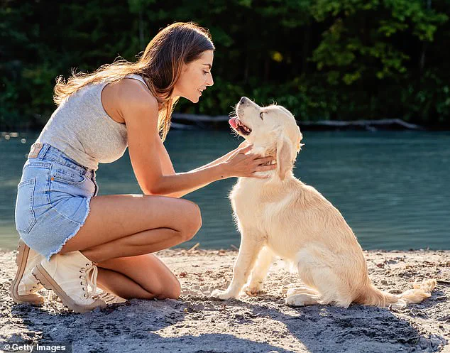 Study Reveals Dogs May Detect Early Signs of Parkinson's Disease Years Before Symptoms Emerge