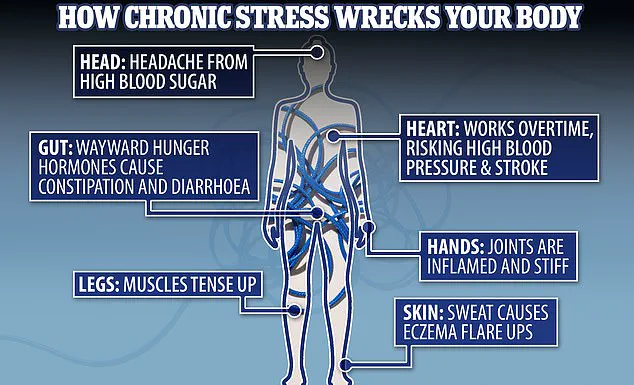 The Dual Role of Cortisol: Balancing Stress Response and Health Risks