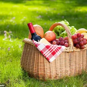 The Hidden Health Risks of Summer Picnics: Separating Myth from Scientific Reality
