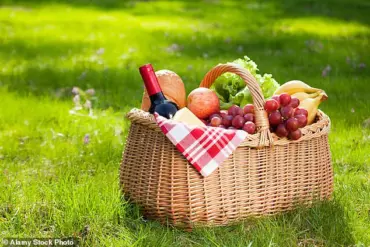 The Hidden Health Risks of Summer Picnics: Separating Myth from Scientific Reality