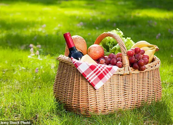 The Hidden Health Risks of Summer Picnics: Separating Myth from Scientific Reality