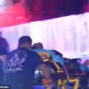 Tragic Pit Bull Attack in San Antonio Leaves Woman Injured