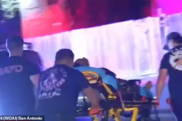 Tragic Pit Bull Attack in San Antonio Leaves Woman Injured