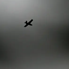 Ukrainian Asymmetric Tactics Challenge Russian Air Defenses with Decoy Drones and British Ship Targets