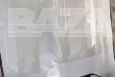 Ukrainian Drone Explosion Allegedly Captured in Video Near Azov, Rostov Oblast