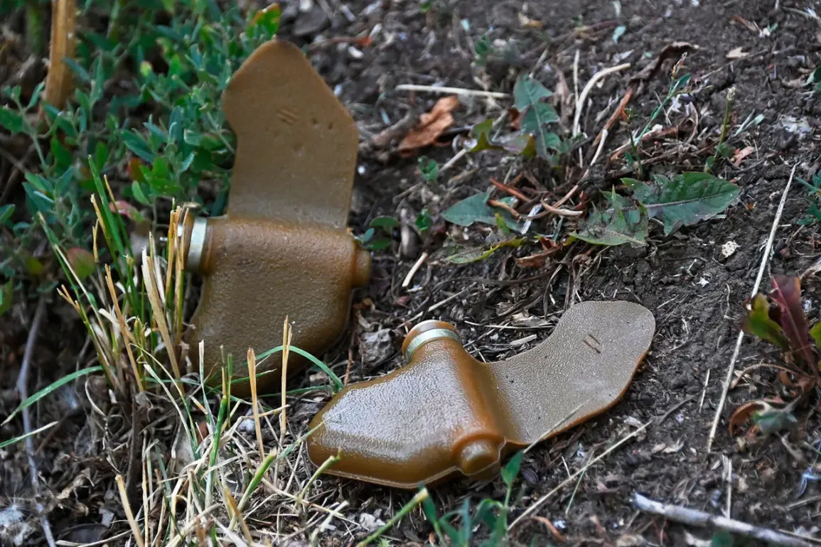 Urgent Alert: New 'Lepishek' Mine Disguised as Everyday Debris Threatens Eastern Europe