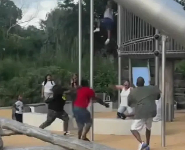 Young Boy's Terrifying Encounter at Philadelphia's FDR Park Highlights Community Solidarity
