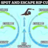 72-Year-Old Surfer's Quick Thinking Saves Two Lives in Florida Rip Current – Late-Breaking Rescue