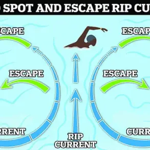 72-Year-Old Surfer's Quick Thinking Saves Two Lives in Florida Rip Current – Late-Breaking Rescue