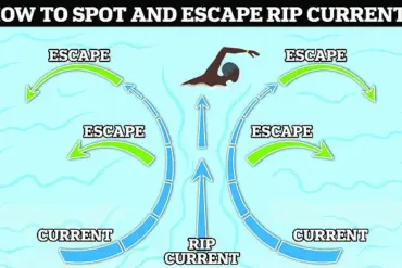 72-Year-Old Surfer's Quick Thinking Saves Two Lives in Florida Rip Current – Late-Breaking Rescue