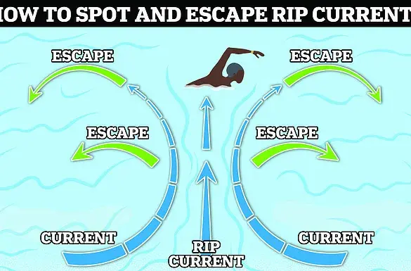 72-Year-Old Surfer's Quick Thinking Saves Two Lives in Florida Rip Current – Late-Breaking Rescue
