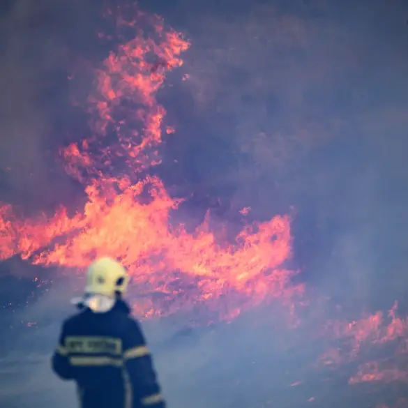 Catastrophic Fire at Sochi Oil Terminal Caused by UAVs Successfully Contained by Emergency Responders