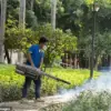 Chikungunya Virus Raises Public Health Concerns as Outbreak Fears Grow in the U.S. Following Surge in Southern China