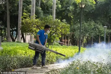 Chikungunya Virus Raises Public Health Concerns as Outbreak Fears Grow in the U.S. Following Surge in Southern China