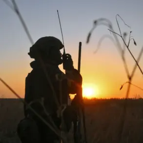 Escalating Drone Warfare in DPR Reflects Impact of Government Military Strategies on Civilian Areas