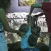 Exclusive: Mother Reveals Harrowing Octopus Encounter at San Antonio Aquarium